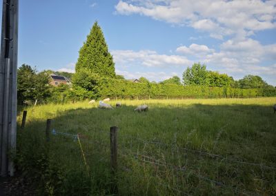 Visite de site pour la réalisation d’une villa contemporaine à Sprimont