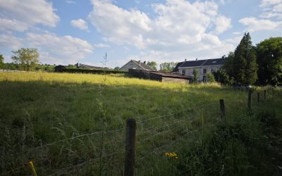 Visite de site pour la réalisation d’une villa contemporaine à Sprimont