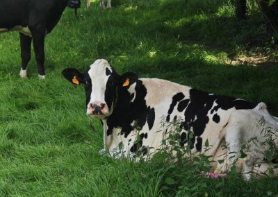 Contrat remporté pour la transformation d’une ferme à Verviers